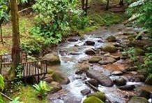 Tortuguero National Park